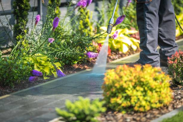 Jasper, AL  Pressure Washing Services Company